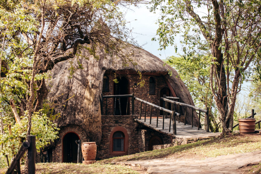 Tanzania Safari