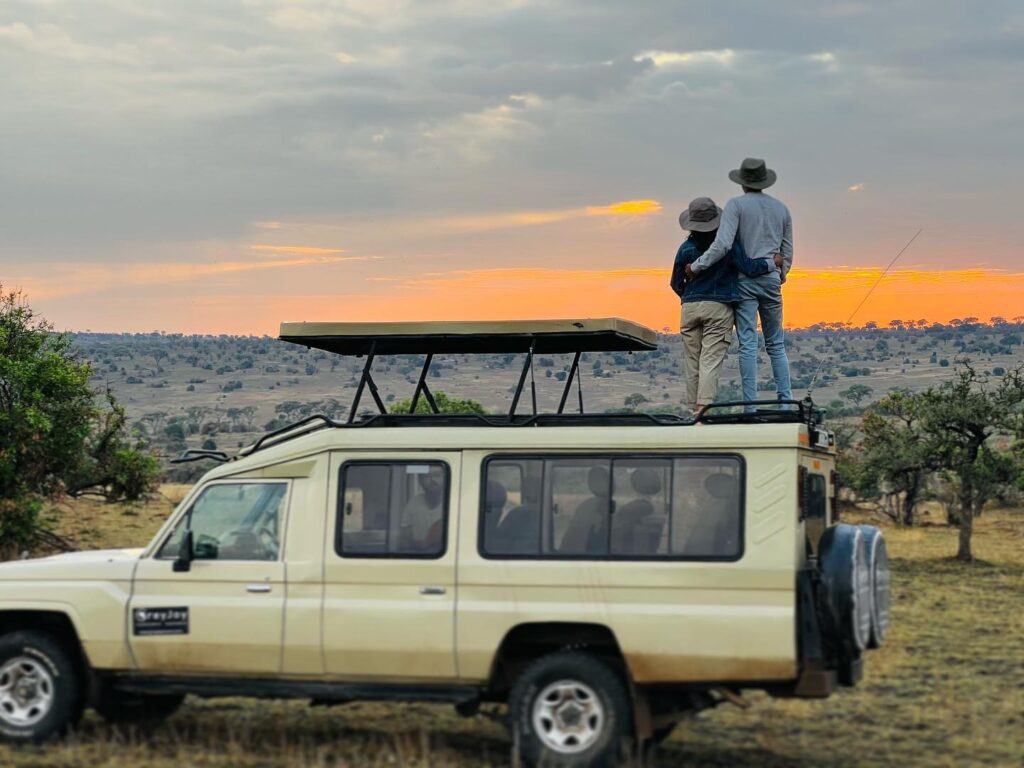Private vs. Group Tanzania Safari: