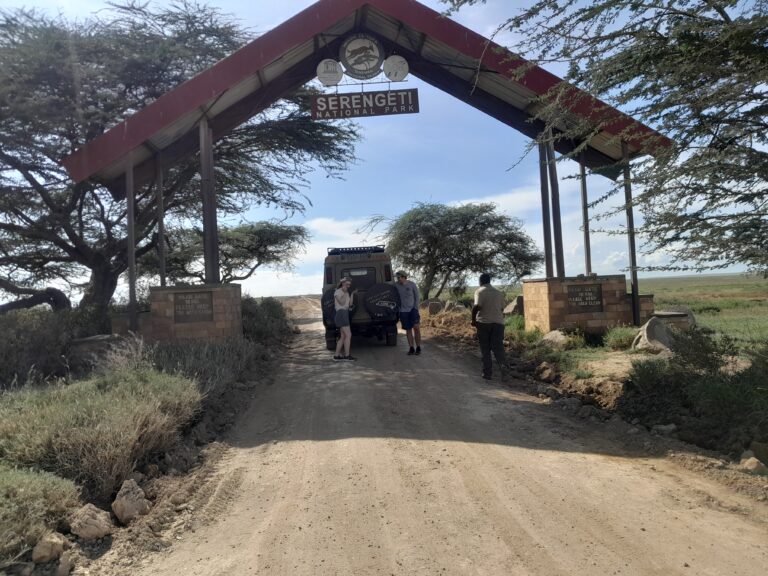 Serengeti National Park Safari with Greyjoy Safari adventures