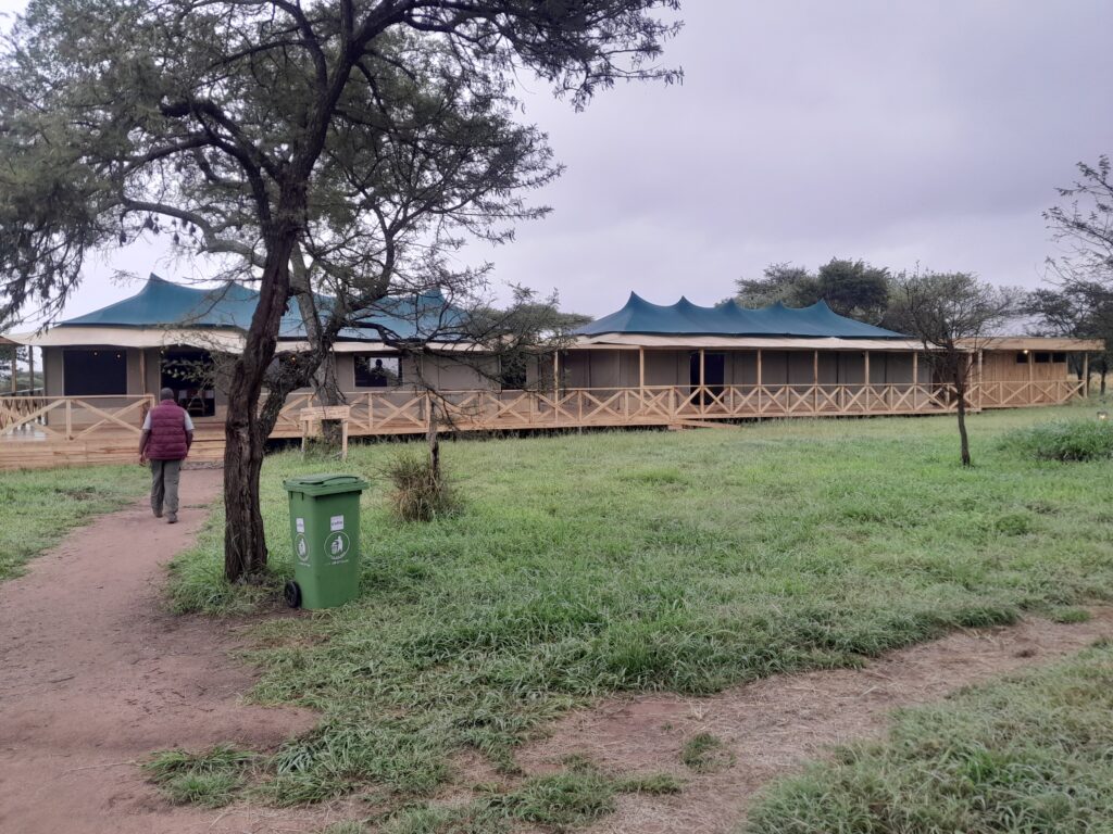 Ruaha National Park Safari