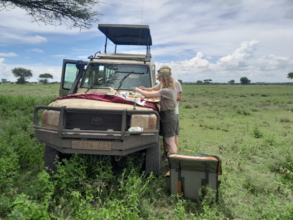 Tanzania safari when to go
