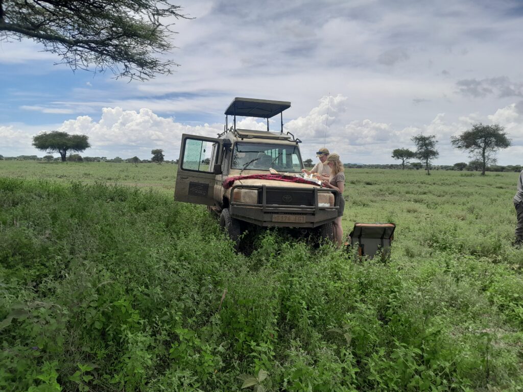 Best safari parks in Tanzania